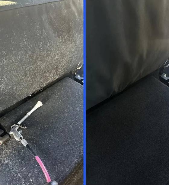 Pet hair removed: before and after
